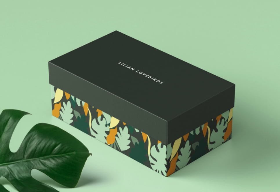 Packaging design project by a talented Australian Pacific College Student, Gary Corr